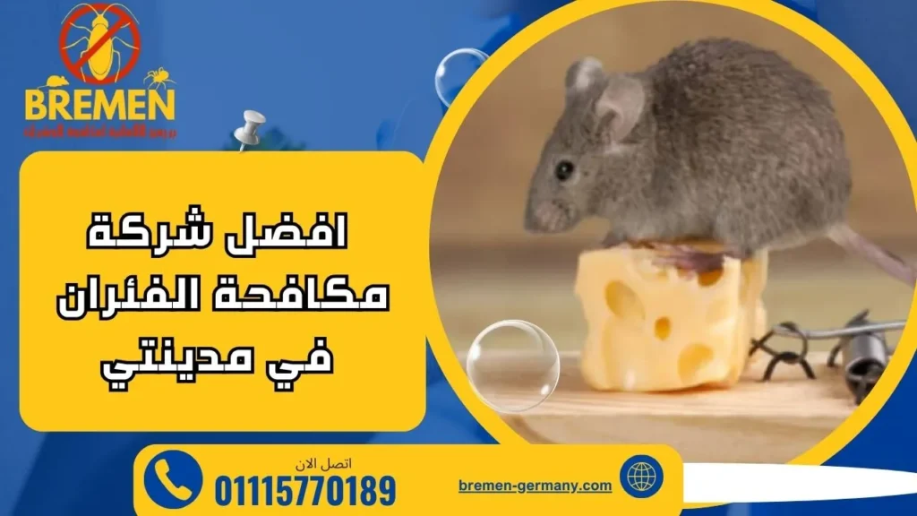 افضل شركة مكافحة الفئران