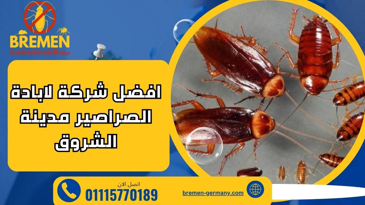 شركة مكافحة الصراصير الشروق