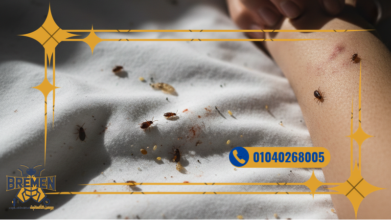 Screenshot 2025 12 07 at 18 31 34 كفر صور بريمن 1280 × 720 بيكسل