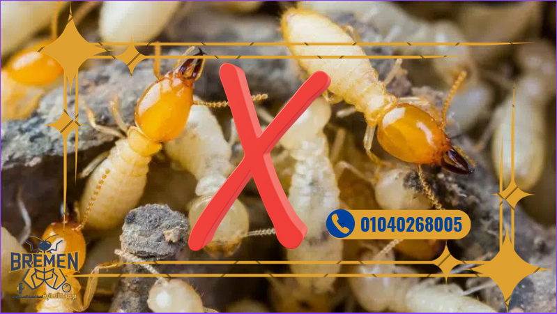 Screenshot 2025 12 11 at 17 00 54 كفر صور بريمن 1280 × 720 بيكسل