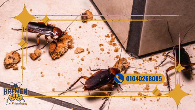 Screenshot 2025 12 15 at 16 24 33 كفر صور بريمن 1280 × 720 بيكسل