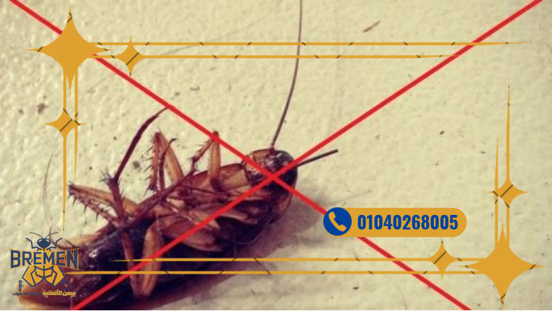 Screenshot 2025 12 15 at 16 26 18 كفر صور بريمن 1280 × 720 بيكسل