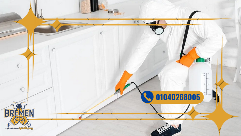 Screenshot 2025 12 15 at 16 27 14 كفر صور بريمن 1280 × 720 بيكسل