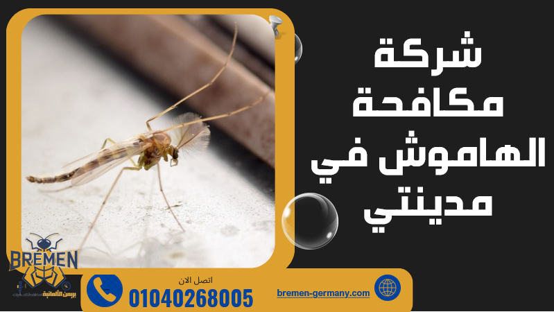 شركة مكافحة الهاموش مدينتي – 01040268005 1 شركة مكافحة الهاموش مدينتي