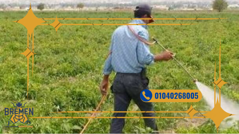 شركة مكافحة الهاموش مدينتي – 01040268005 10 Screenshot 2025 12 18 at 17 10 37 كفر صور بريمن 1280 × 720 بيكسل