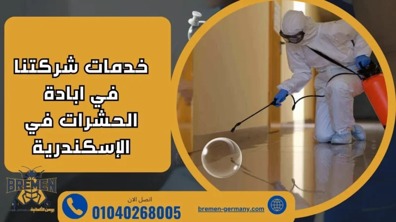 خدمات شركتنا في ابادة الحشرات في الإسكندرية