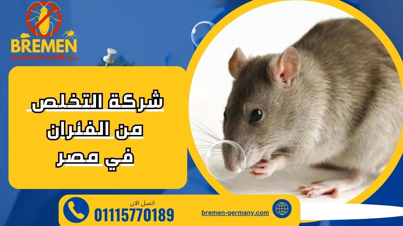 شركة التخلص من الفئران