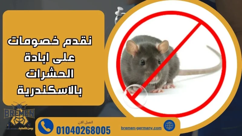 اسعار شركة مكافحة الحشرات بالاسكندريه 