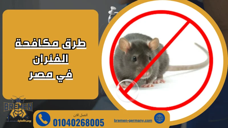 شركة رش للفئران في مصر - 01040268005 1 طرق مكافحة الفئرانفي مصر
