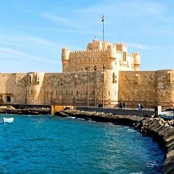 بريمن الالمانية لمكافحة الحشرات والقوارض 10 شركة مكافحة حشرات بالاسكندرية