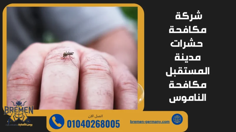 أسباب انتشار الناموس في مدينة المستقبل بسبب المياه الراكدة والحدائق