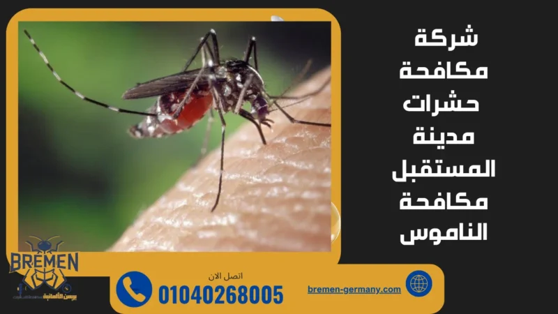 شركة مكافحة حشرات مدينة المستقبل تقدم خدمة مكافحة الناموس داخل المنازل