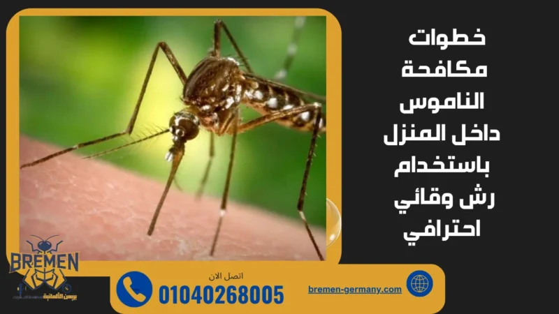 خطوات مكافحة الناموس داخل المنزل باستخدام رش وقائي احترافي