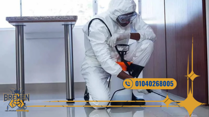 شركات مكافحة الفئران المعتمدة بالشروق