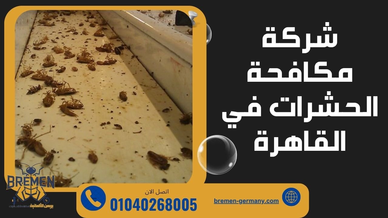 شركة لمكافحة الحشرات في القاهرة