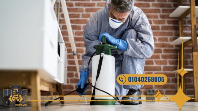 شركة مكافحة حشرات في القاهرة - 01040268005 3 ابادة الحشرات في القاهرة
