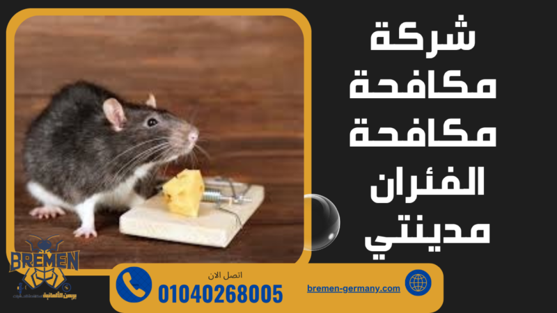شركة بريمن الألمانية لمكافحة الفئران مدينتي جودة مضمونة – 01040268005 5 شركة مكافحة الفئران في مدينتي