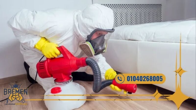 شركة مكافحة حشرات في هايد بارك بالتجمع الخامس - 01040268005 4 شركة رش البق تقوم بمعالجة المراتب والأثاث داخل هايد بارك