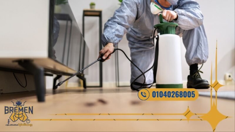 شركة مكافحة حشرات في هايد بارك بالتجمع الخامس - 01040268005 5 شركة ابادة الصراصير تقوم برش المطابخ والحمامات