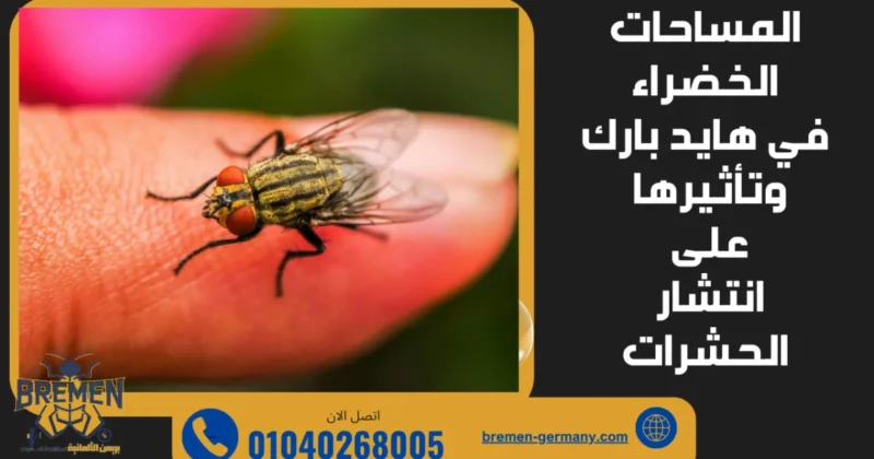 مكافحة حشرات هايد بارك – حلول احترافية للقضاء على الحشرات نهائيًا 3 المساحات الخضراء في هايد بارك وتأثيرها على انتشار الحشرات