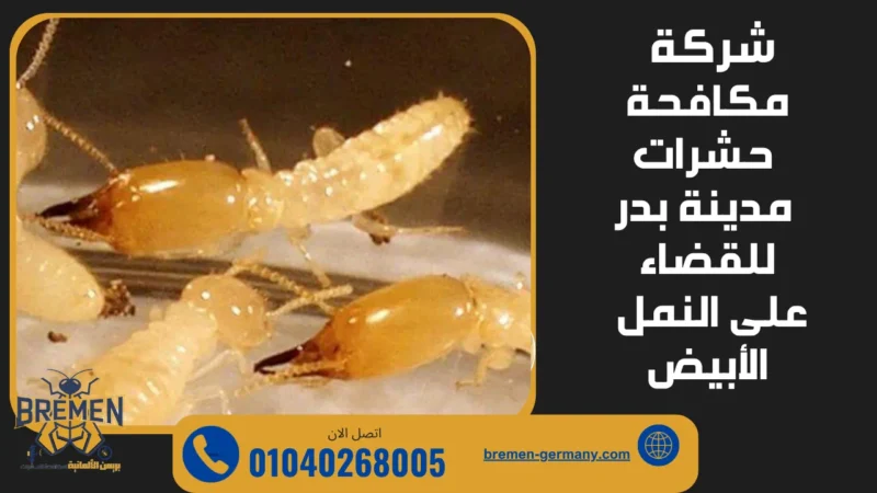شركة مكافحة حشرات مدينة بدر للقضاء على النمل الأبيض وحماية الأخشاب نهائيًا 16 شركة مكافحة حشرات مدينة بدر تقوم برش الحشرات داخل المنزل